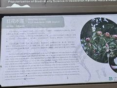 -大围山国家森林公园