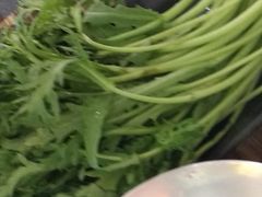 青口浸茼蒿-合合大冷面(湖南店)