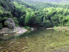-宁波浙东大竹海景区