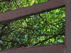 -米屋石锅拌饭(师大店)