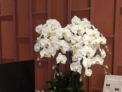 -LANN I 蘭·泰式古法按摩(上海湖滨道店)
