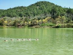 -广州白江湖森林公园