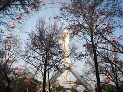 -东湖磨山景区