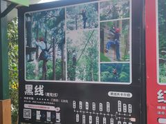 -芦仙山景区-飞越丛林探险乐园