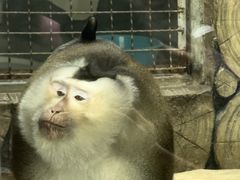 -黔灵山公园