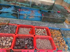 -南湾海鲜餐厅(南澳海鲜街店)