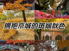 -北京凤凰岭