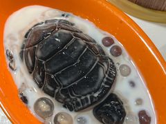 -堂会(缤缤店)