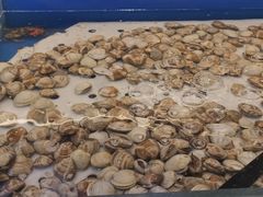 -川骄海鲜自助(河东店)