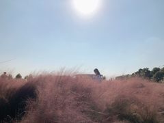 -映月湖中央公园