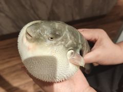 -永安鱼庄·镇江菜(东吴路店)