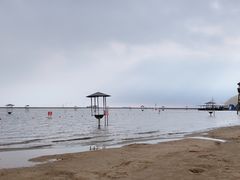 -碧海金沙