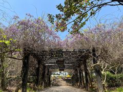 -九龙潭景区