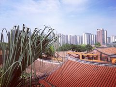 -晋江五店市传统文化旅游区