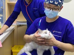 -柏萃动物医院·骨科·牙科
