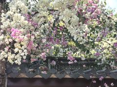 -深圳国际园林花卉博览园