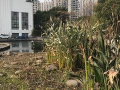 -苏州河梦清园环保主题公园