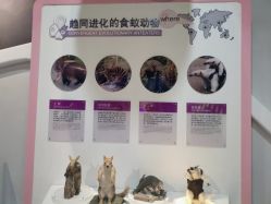 -北京科学中心儿童乐园