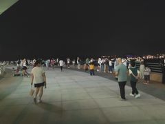 -演武大桥观景平台