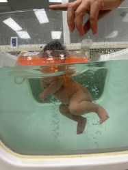 -天使医生月子中心(福佑店)