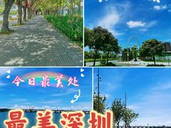 -宝安西湾红树林湿地公园