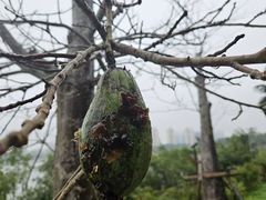 -中国（海南）南海博物馆