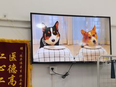 -宠颐生宠物医院外科·内科·皮肤科·影像科(石龙店)