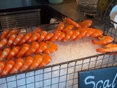 -Social 秀西餐厅-长沙瑞吉酒店(运达店)