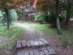 -四明山国家森林公园