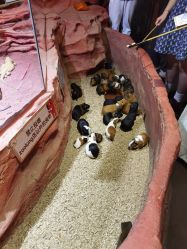 -Zoolung Zoolung动物主题公园(海信广场店)