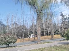 -洨河生态公园