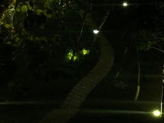 -玉树公园