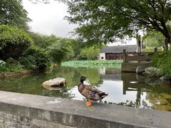 -杭州西子湖四季酒店-WL BISTRO西湖餐厅(灵隐路店)