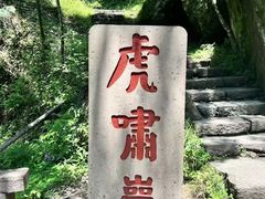 -武夷山风景名胜区-玉女峰