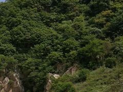 -秦岭风景区