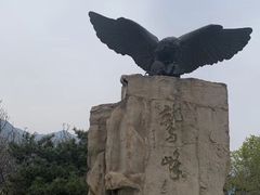 -北京鹫峰国家森林公园