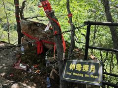 -五女峰国家森林公园