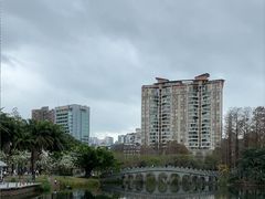 -四海公园(南山区)