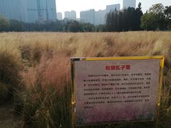 -艾溪湖湿地公园