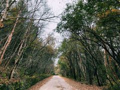 -白草畔自然风景区