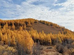 -北极村旅游风景区