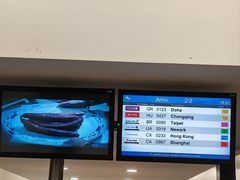 -米兰马尔彭萨国际机场