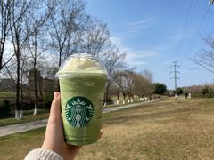 -两河城市森林公园