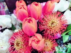 -ChaKo Flora ·茶子花艺 (市北店)