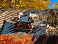 -香山公园