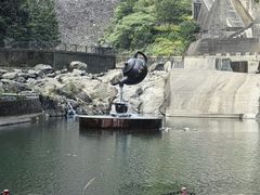 -长谷洞天
