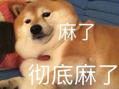 -成都麻辣肉饼(上马营店)