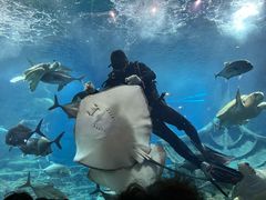 -海合安武汉极地海洋公园