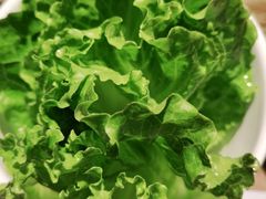 -额尔敦牛厨师铜板烧