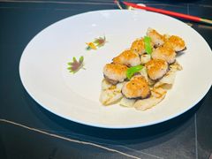 -秀儿四九城·新京菜(亚运村鸟巢店)